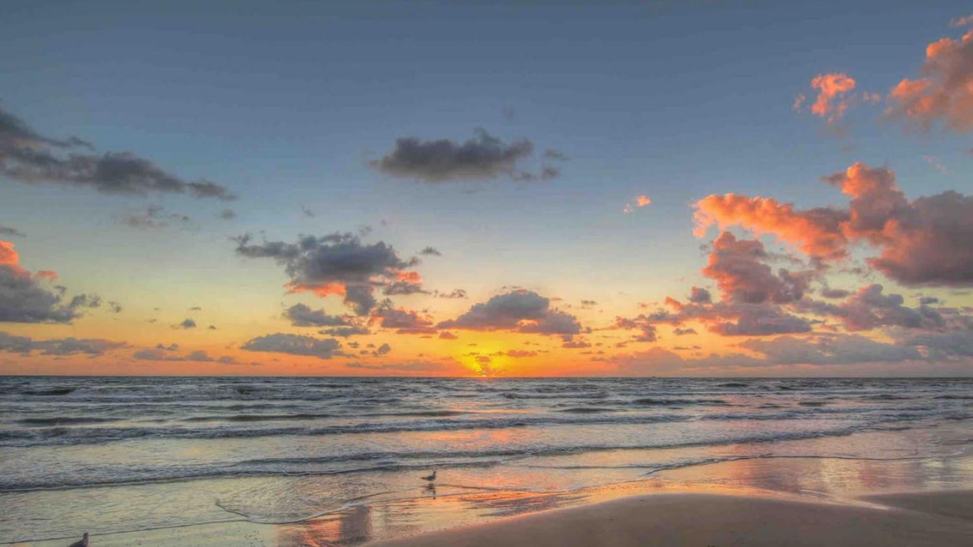 Sleeps 4, Value Retreat - Free Garage Pet Friendly Διαμέρισμα Κόρπους Κρίστι Εξωτερικό φωτογραφία